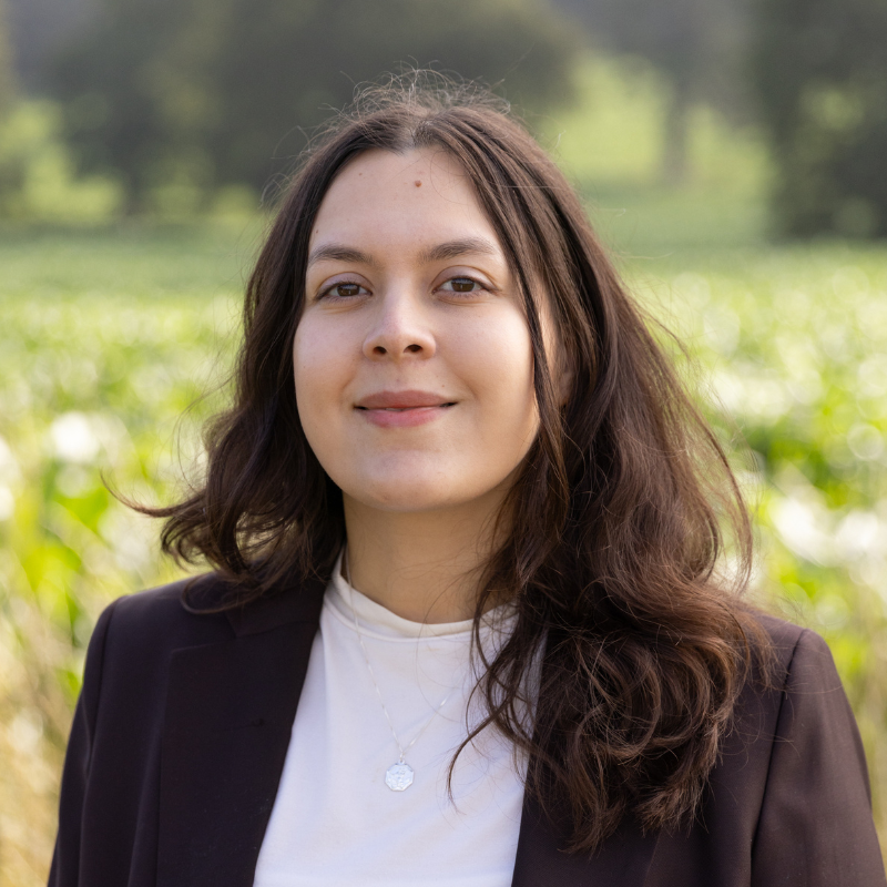 Sarah Savelli, Keepsake co-founder